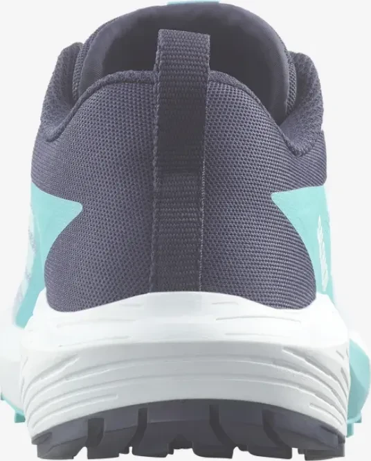 Salomon Sense Ride 5 cashmere blue/carbon/peacock blue (Damen)