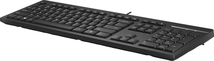 HP 125 kabelgebundene Tastatur, schwarz, USB, FI