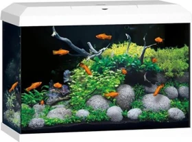 Juwel Primo 70 LED Aquarium-Set, weiß, 70l
