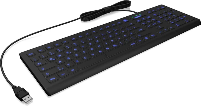 KeySonic KSK-8031 INEL-B, schwarz, USB, DE