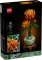 LEGO Botanicals - Chrysantheme Vorschaubild