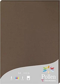 Clairefontaine Pollen Universalpapier maroni, A4, 210g/m², 25 Blatt