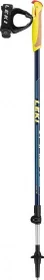 Leki Walker XS Modell 2022 Nordic Walking Stöcke (Junior)