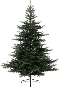 Everlands Künstlicher Weihnachtsbaum Tanne Grandis Fir, 240cm