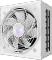 GIGABYTE AORUS Elite Platinum P850W ICE 850W, ATX 3.1, Rev. 1.1 Vorschaubild