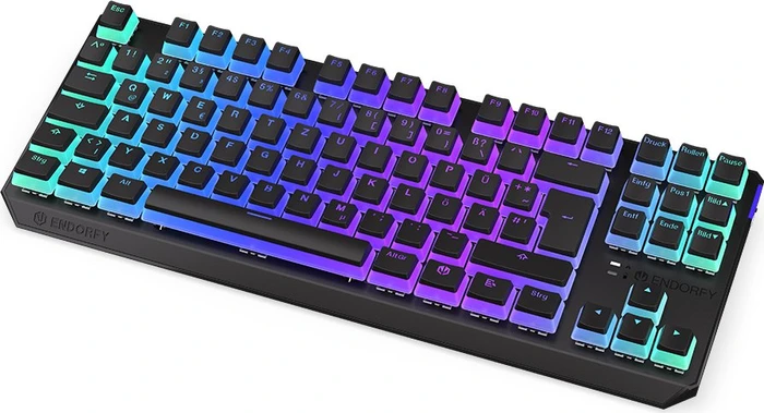 Endorfy Thock TKL Wireless Pudding, PBT, LEDs RGB, hot-swap, Kailh Box BROWN, USB/Bluetooth, DE