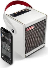 Positive Grid Spark MINI Pearl