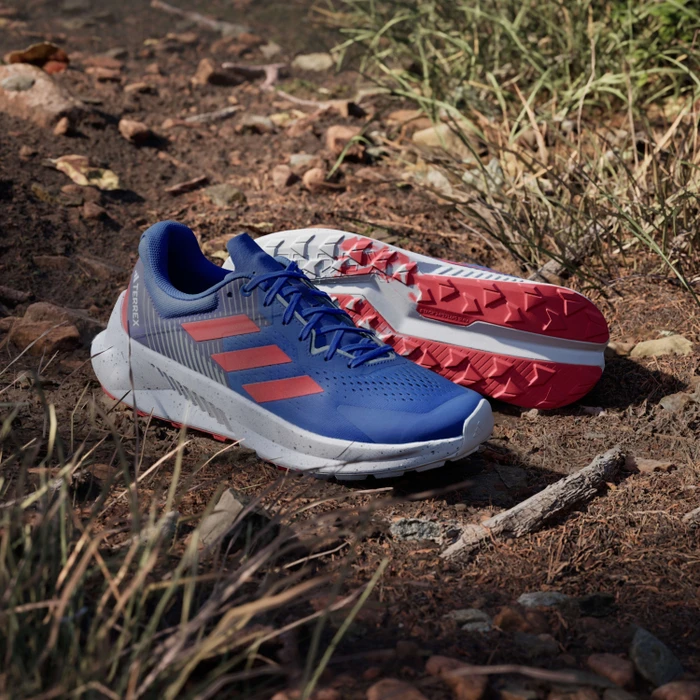 adidas Terrex Soulstride Flow dash grey/pure ruby/semi lucid blue (Herren)