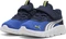 Puma FlexFocus Modern vivid blue/puma white (Junior) Vorschaubild