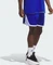 adidas 3G Speed Reversible Basketball Aeroready Trainingshose kurz royal blue/white (Herren) Vorschaubild