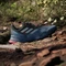 adidas Terrex Soulstride Rain.RDY wonder steel/magic grey/pure ruby (Herren) Vorschaubild