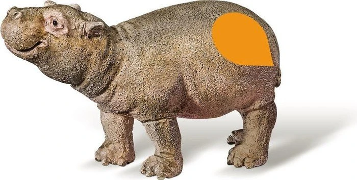 Ravensburger tiptoi Spielfigur: Flusspferd Kalb
