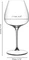Riedel Grape@Riedel Pinot Noir/Nebbiolo/Aperitivoglas, 2 Stück Vorschaubild