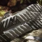 adidas Terrex Hydroterra Light Sandale charcoal solid grey/charcoal/semi spark Vorschaubild