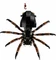 LEGO Der Herr der Ringe - Der Hinterhalt von Shelob Vorschaubild