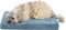 Trixie Vital Matratze Lonni, 50x35cm- Vorschaubild