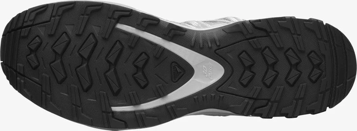 Salomon XA Pro 3D alloy/silver/lunar rock