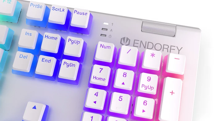 Endorfy Omnis Pudding, Onyx White, Kailh BLUE, USB, US