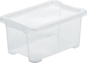 Rotho Evo Easy Storage Aufbewahrungsbox, 4l, transparent/transparent
