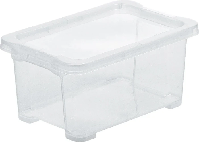 Rotho Evo Easy Storage Aufbewahrungsbox, 4l, transparent/transparent