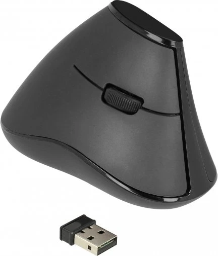 DeLOCK Kabellose ergonomische vertikal optische lautlose 5-Tasten Maus schwarz, USB