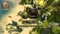 Defenders of Ardania (Download) (PC) Vorschaubild