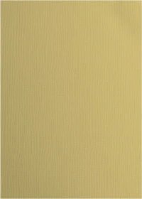 Vaessen Creative Tonkarton, A4, glatt, Salamander, 10 Blatt