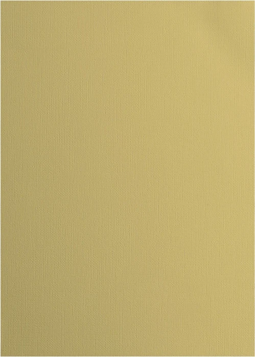 Vaessen Creative Tonkarton, A4, glatt, Salamander, 10 Blatt