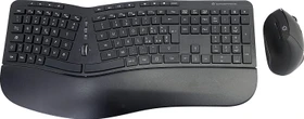 Conceptronic Orazio Ergo Wireless Ergonomic Keyboard and Vertical Mouse Kit schwarz, USB, IT
