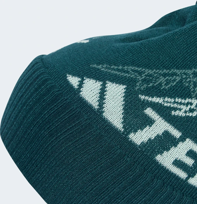 adidas Terrex Xploric Pom Pom Beanie aurora ivy