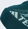 adidas Terrex Xploric Pom Pom Beanie aurora ivy Vorschaubild