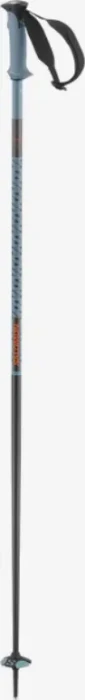 Salomon Polar Pro Alpin Skistock copen blue (Modell 2024/2025)