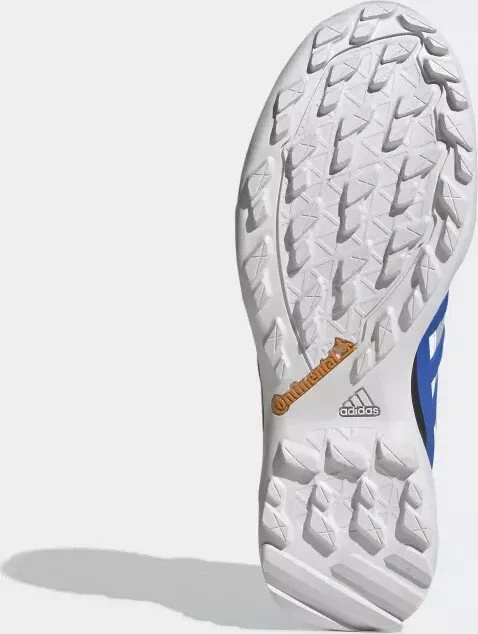 adidas Terrex Swift R2 GTX grey two/glory blue/core black (Herren)