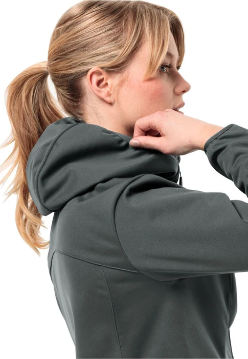 Jack Wolfskin Windhain Hoody Funktionsjacke slate green (Damen)
