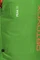 Ortovox Peak 35 absolute green Vorschaubild
