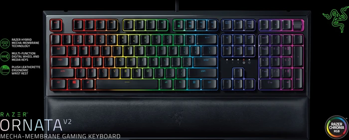 Razer Ornata V2, USB, DE