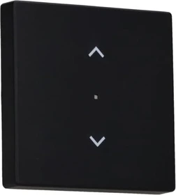 Busch-Jaeger Wippe 1-fach mit Symbol "Jalousie", schwarz matt