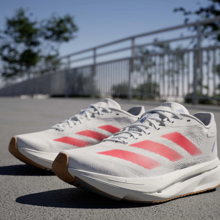adidas Adizero SL2 cloud white/pure ruby/royal blue (Damen)