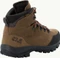 Jack Wolfskin Rebellion Texapore Mid brown/phantom (Herren) Vorschaubild