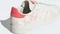adidas Grand Court Base 2.0 off white/preloved scarlet (Herren) Vorschaubild