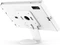Compulocks iPad Kiosk, Counter Stand Core Apex Enclosure, Tablet-Stand für iPad Air M2/M3/M4 11", weiß Vorschaubild