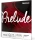 D'Addario Prelude Violin String Set, 1/16 Scale, Medium Tension (J810 1/16M)