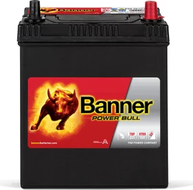 Banner Power Bull P4026