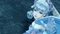 Xenoblade Chronicles - Definitive Edition (Switch) Vorschaubild