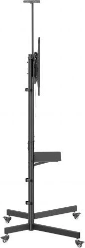 Equip 650636 – Bild 2 von 3