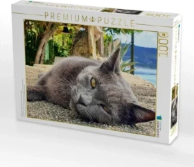 Calvendo Katzenportrait auf der Insel Cres in Kroatien