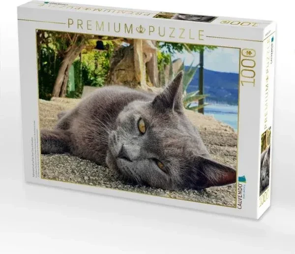 Calvendo Katzenportrait auf der Insel Cres in Kroatien