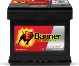 Banner Power Bull P5003