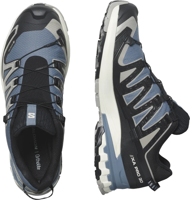 Salomon XA Pro 3D V9 GTX flint stone/black/ghost gray (Herren)