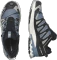 Salomon XA Pro 3D V9 GTX flint stone/black/ghost gray (Herren) Vorschaubild